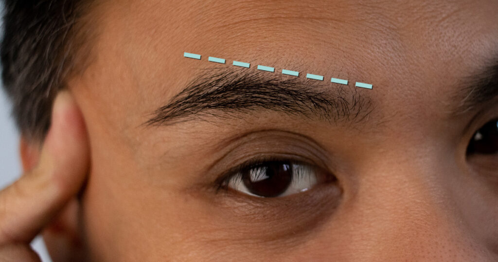 closeup of eyebrow with dotted trim line