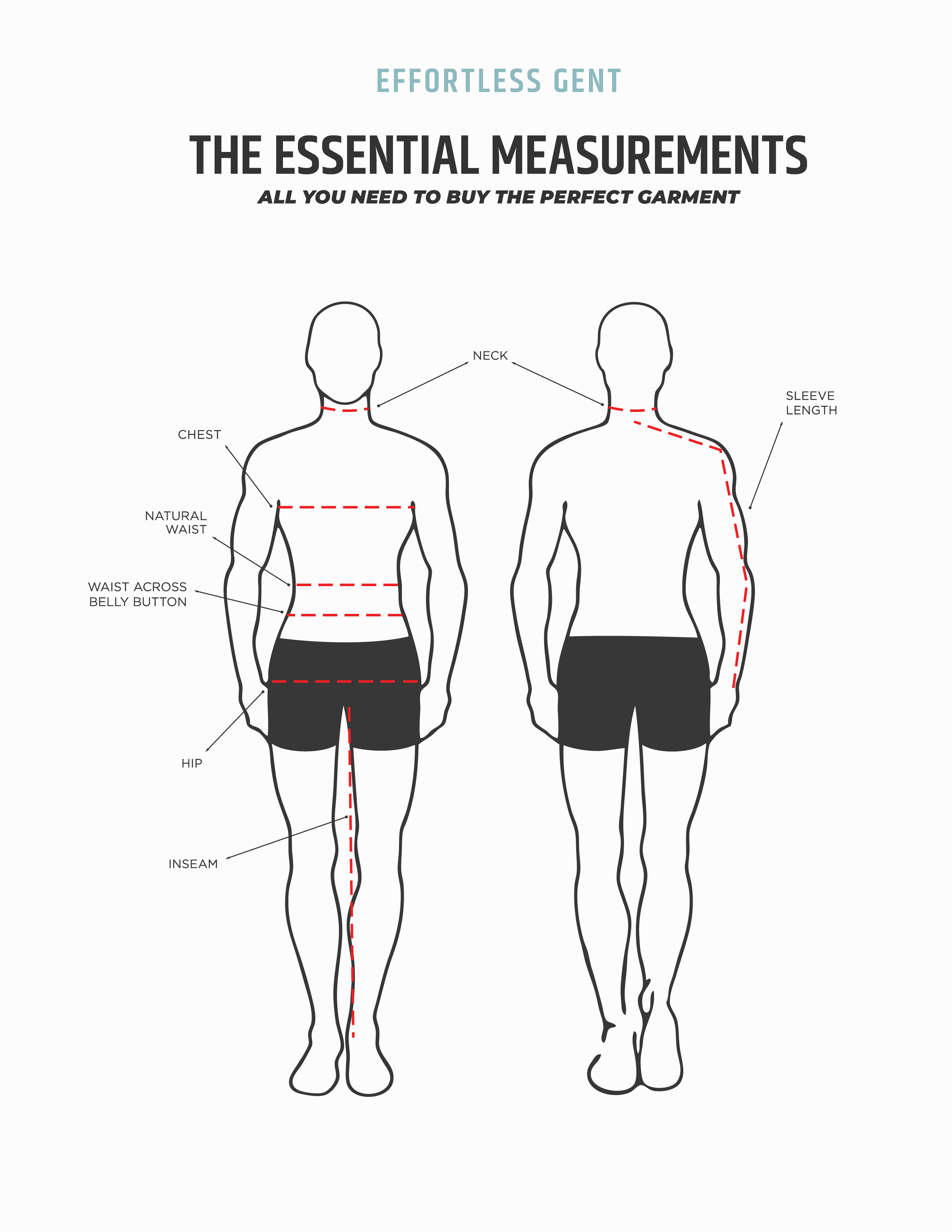 illustration of body for measurements