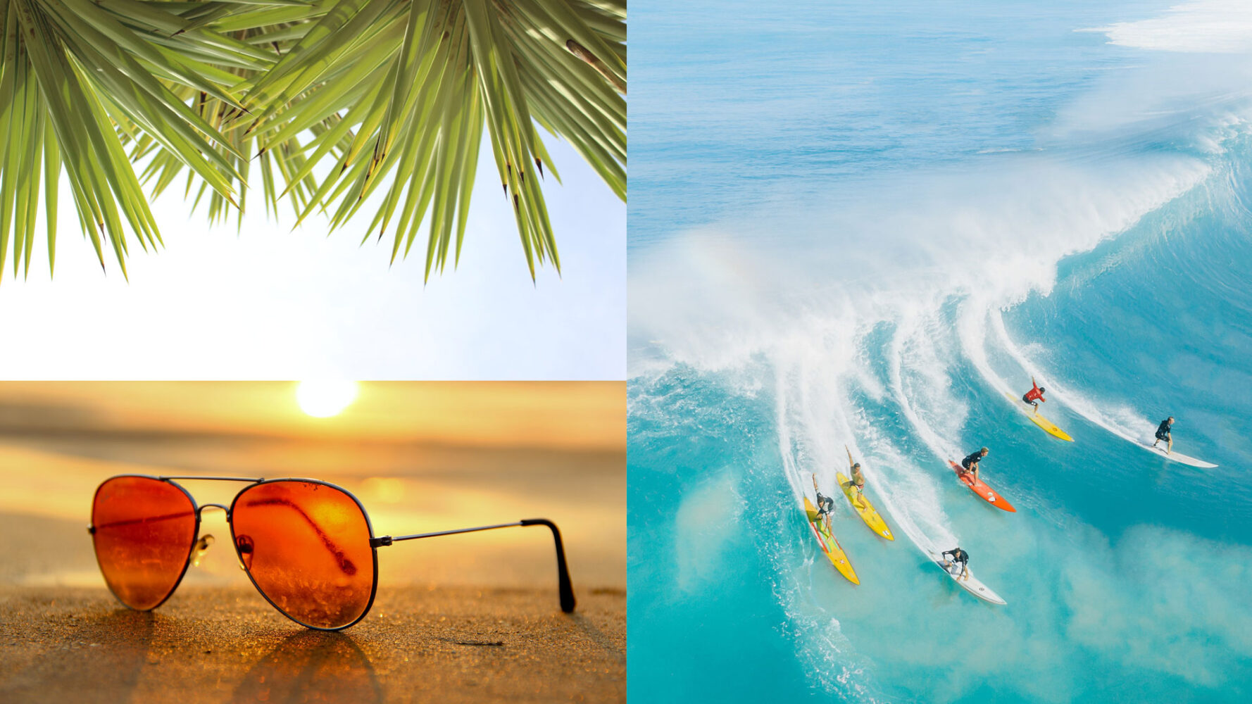 summer colors - palm tree fronds orange aviator sunglasses and blue wave surfing