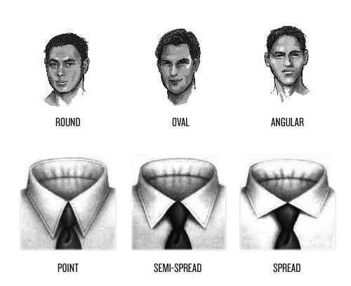 illustration of different face shapes, collars, and ties