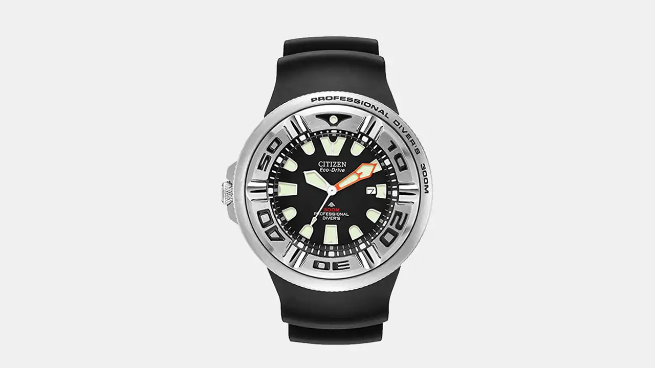 Citizen Eco-Drive Professional Divers Watch